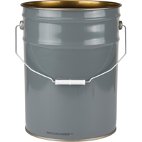 Lined Pail, Steel, 20 L Chandler Sales