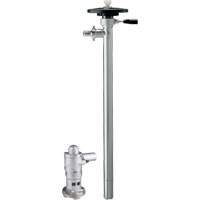 Pompes &agrave; tambour &agrave; air comprim&eacute;, 36 gal./min Chandler Sales