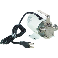 Non-Submersible, Self-Priming Plated Brass Transfer Pumps - Pump Only, 115 V, 360 GPH, 1/10 HP Chandler Sales