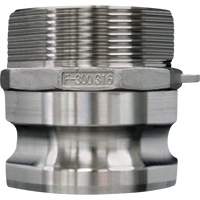 Cam & Groove Coupling, Stainless Steel, Type F, 3/4", Male NPT, 250 PSI Chandler Sales