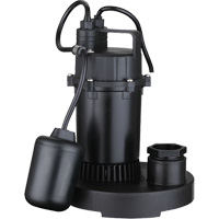 Thermoplastic Submersible Sump Pump, 2560 GPH, 115 V, 4.6 A, 1/3 HP Chandler Sales