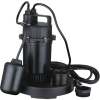Thermoplastic Submersible Sump Pump, 2560 GPH, 115 V, 4.6 A, 1/3 HP Chandler Sales