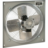 All Purpose Wall Fans, Commercial, 2 Speed, 10" Diameter Chandler Sales