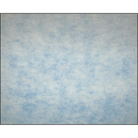 High-Arrestance Synthetic Media Filters, Pad, MERV 5, 24" W x 2" D x 12" H Chandler Sales