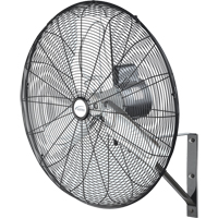 Wall-Mounted Fans