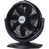 Turbo Fan, Commercial, 3 Speed, 20" Diameter Chandler Sales
