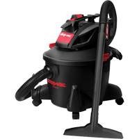 Cordless Wet/Dry Vacuum, 20 V, 6 gal. Capacity Chandler Sales