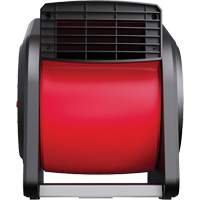 Souffleur d'air Chandler Sales