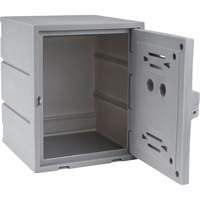 Locker, 15" x 15" x 18", Grey, Assembled Chandler Sales