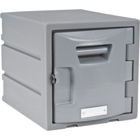 Locker, 12" x 15" x 12", Grey, Assembled Chandler Sales