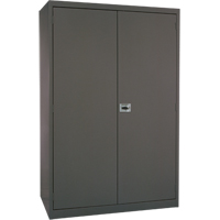 Armoires de rangement Hi-Boy profondes, Acier, 4 Tablettes, 72" h x 36" la x 24" P, Charbon Chandler Sales