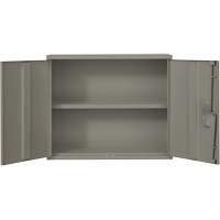 Armoire murale, Acier, 2 Tablettes, 30" h x 36" la x 12" P, Gris Chandler Sales