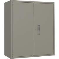 Armoire de rangement Lo-Boy, Acier, 2 Tablettes, 40" h x 36" la x 18" P, Gris Chandler Sales