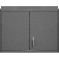 Wall-Mounted Cabinet, 27" H x 29-7/8" W x 13-11/16" D, 2 Shelves, Steel, Grey Chandler Sales