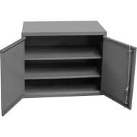 Wall-Mounted Cabinet, 27" H x 13-11/16" W x 35-7/8" D, 2 Shelves, Steel, Grey Chandler Sales