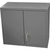 Wall-Mounted Cabinet, 27" H x 13-11/16" W x 35-7/8" D, 2 Shelves, Steel, Grey Chandler Sales