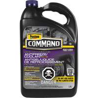 Liquide de refroidissement/antigel ESI pr&eacute;dilu&eacute; 50/50 pour service lourd Command, 3,78 L, Cruche Chandler Sales