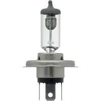 9003 Basic Headlight Bulb, Halogen, 61 W/67 W, Off White Chandler Sales