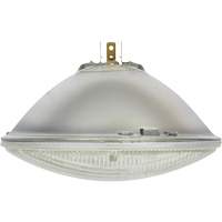 Phare automobile scell&eacute; de base H6024, 40 W, Blanc cass&eacute; Chandler Sales