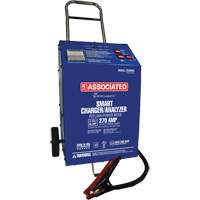 Chargeur 12 V 60 A &agrave; roues Intellamatic Chandler Sales