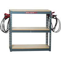 Battery Charging Rack with 10 Clamp Sets Chandler Sales