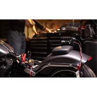 Genius&reg; 10 10-Amp Battery Charger Chandler Sales