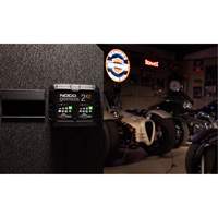 Genius&reg; 2X2 2-Bank, 4-Amp Battery Charger Chandler Sales