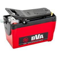 Single Acting 2-Speed Air Pump 122.1 in³ Reservoir Chandler Sales