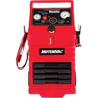 CarbonClean 245 Gasoline Engine System Chandler Sales