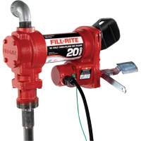 Pompe de transfert de carburant 12 V CC Chandler Sales