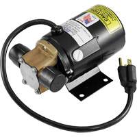 Low Profile Truck Drain with Electric Pump Chandler Sales