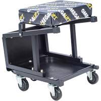 2-in-1 Seat-Stool Combo Chandler Sales
