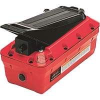 10000 PSI Air/Hydraulic Foot Pump Chandler Sales