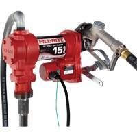 Pompe de transfert de carburant 12 V CC avec pistolet Chandler Sales