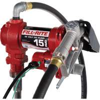 Pompe de transfert de carburant 12 V CC avec pistolet Chandler Sales