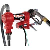 Pompe de transfert de carburant 12 V CC avec pistolet Chandler Sales