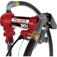 Pompe de transfert de carburant 12 V CC avec pistolet Chandler Sales