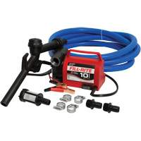Pompe de transfert de carburant 12 V CC avec pistolet Chandler Sales
