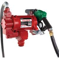 Pompe de transfert de carburant 115/230 V c. a. avec pistolet Chandler Sales