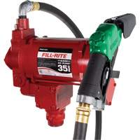 Pompe de transfert de carburant 115/230 V c. a. avec pistolet Chandler Sales