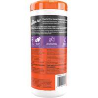 Lingettes nettoyantes et d&eacute;sodorisantes Chandler Sales