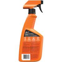 Multi-Purpose Auto Cleaner, 16 oz./473 ml, Trigger Bottle Chandler Sales