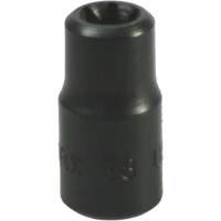 E-8 Torx&reg; Socket Chandler Sales