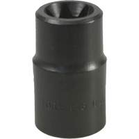 E-18 Torx&reg; Socket Chandler Sales