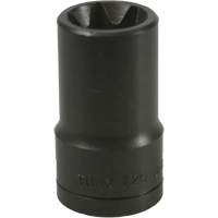E-20 Torx&reg; Socket Chandler Sales