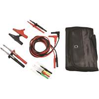Ensemble de fils d'essai automobile Pro avec sondes d'essai de premi&egrave;re qualit&eacute; Chandler Sales
