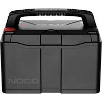 Group 31 120Ah Lithium-Ion LiFePO4 Dual-Purpose Battery Chandler Sales