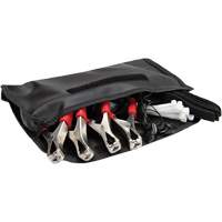 Trousse d'appareil sans fil de diagnostic ChassisEAR Chandler Sales