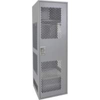 Gear Locker with Door, Steel, 24" W x 24" D x 72" H, Grey Chandler Sales