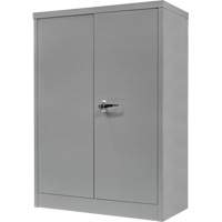 Counter-High Storage Cabinet, Steel, 2 Shelves, 42" H x 48" W x 24" D, Grey Chandler Sales